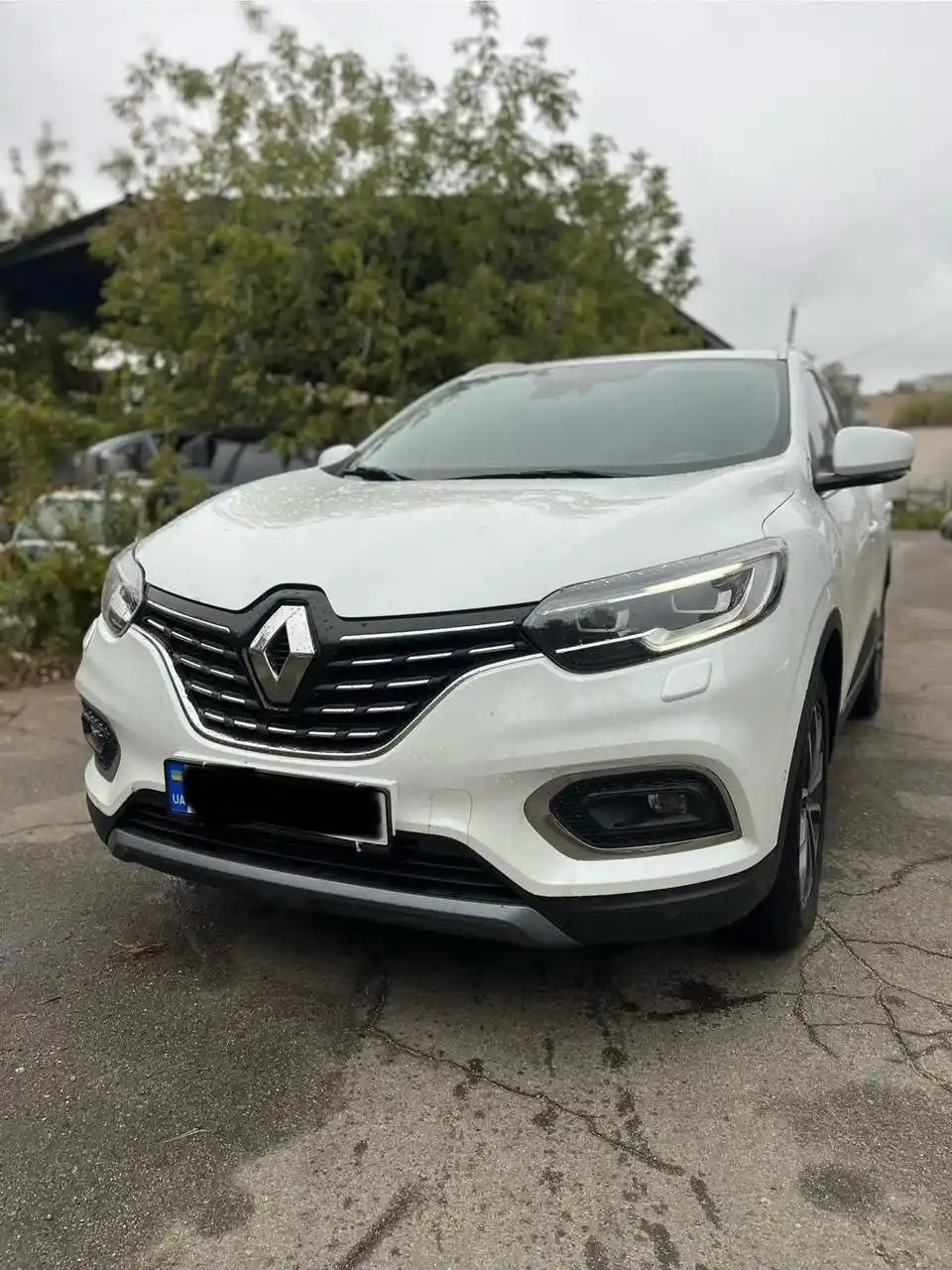 білий кросовер Renault для трансферу Київ Рівне